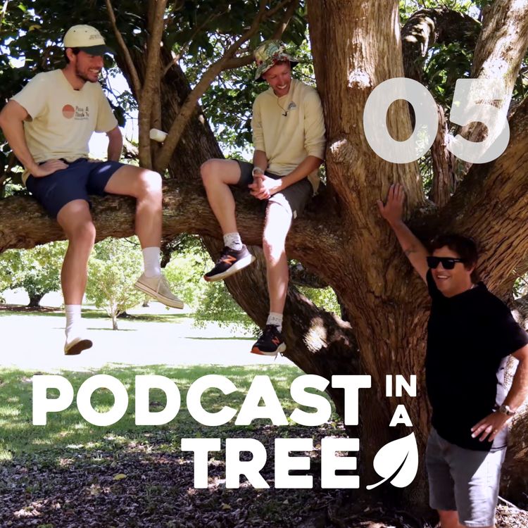cover art for Podcast in a Tree 2: 05