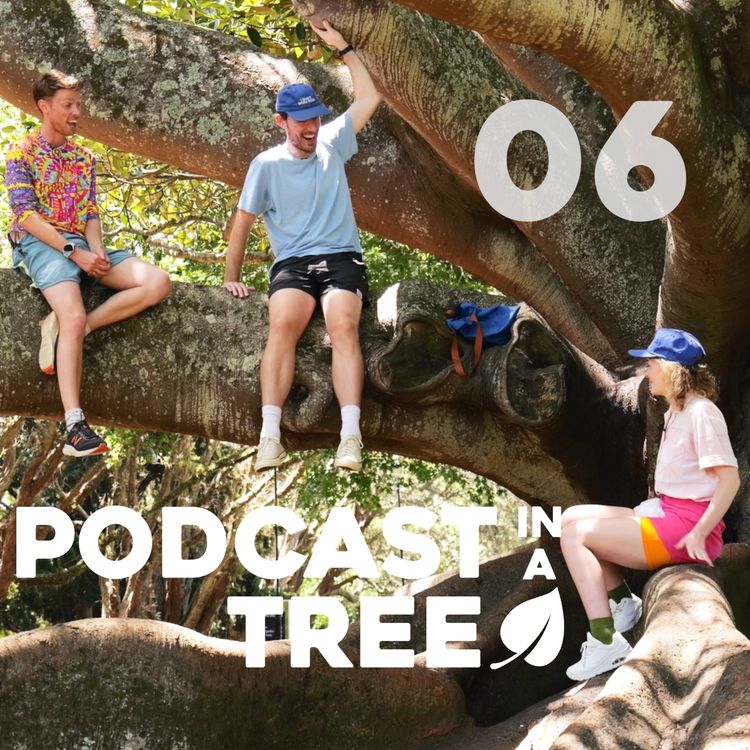 cover art for Podcast in a Tree 2: 06