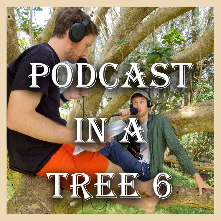 cover art for Podcast In A Tree 6