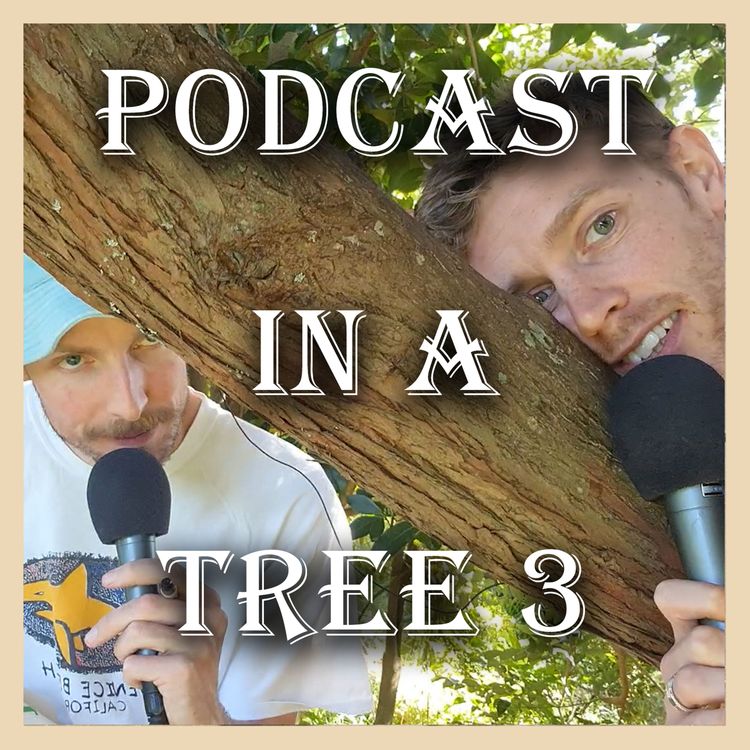 cover art for Podcast In A Tree 03