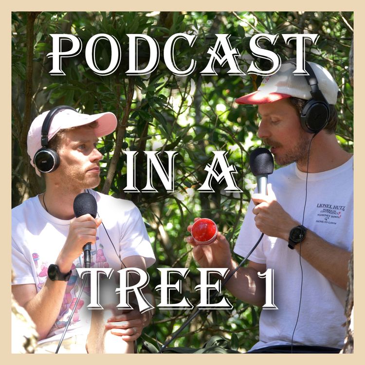 cover art for Podcast In A Tree 01