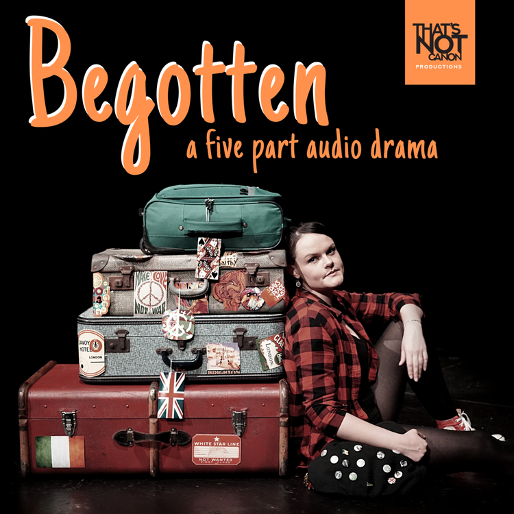 cover art for Laoise
