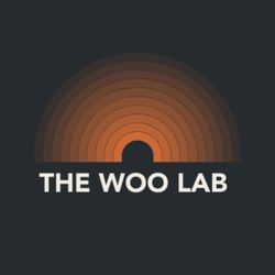 cover art for The Woo Lab
