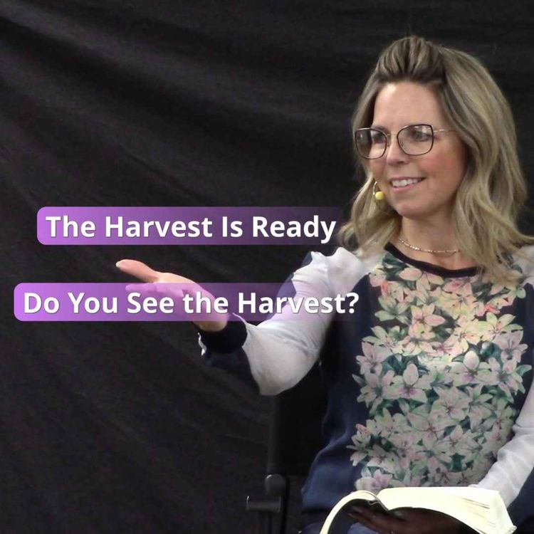 cover art for The Harvest is Ready