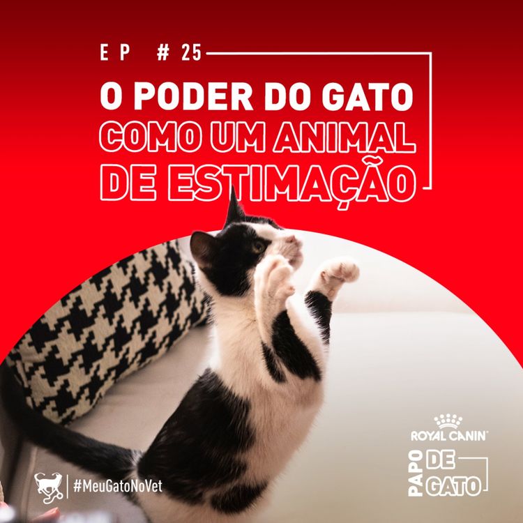 cover art for O poder do gato como animal de estimação