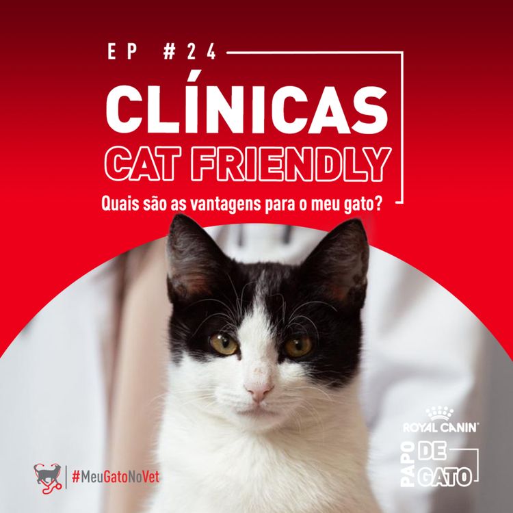 cover art for Vantagens das Clínicas Cat Friendly para meu gato