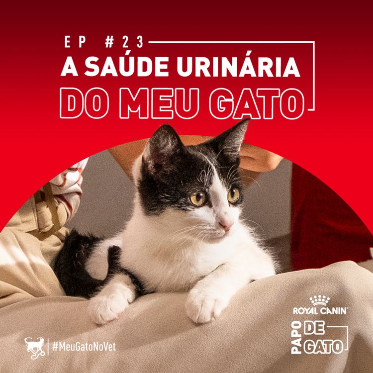 cover art for A saúde urinária do meu gato