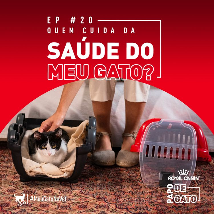 cover art for Quem cuida da saúde do meu gato?