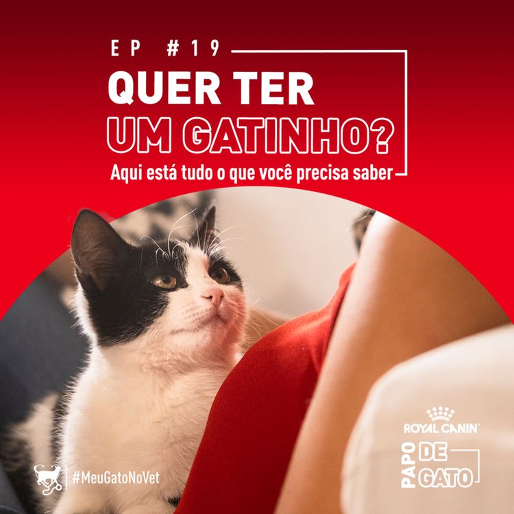 cover art for Tudo o que você precisa saber se quer ter um gato