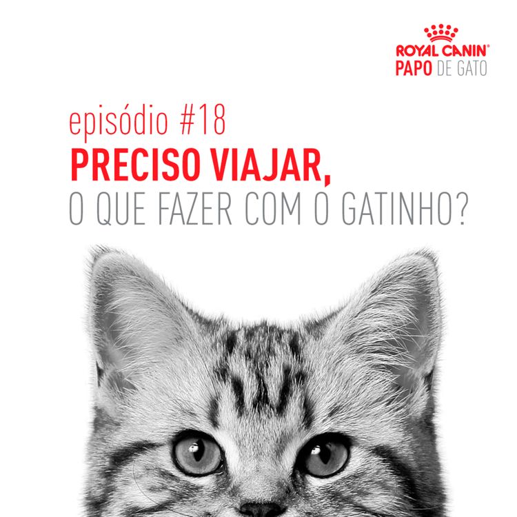 cover art for Preciso viajar, o que fazer com o gatinho?