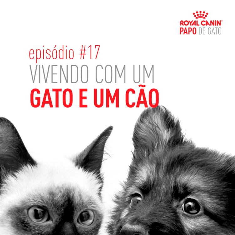 cover art for Vivendo com um gato e um cão