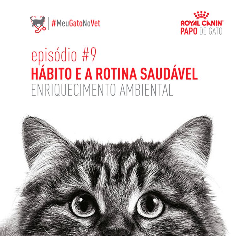 cover art for Hábitos e rotina saudável