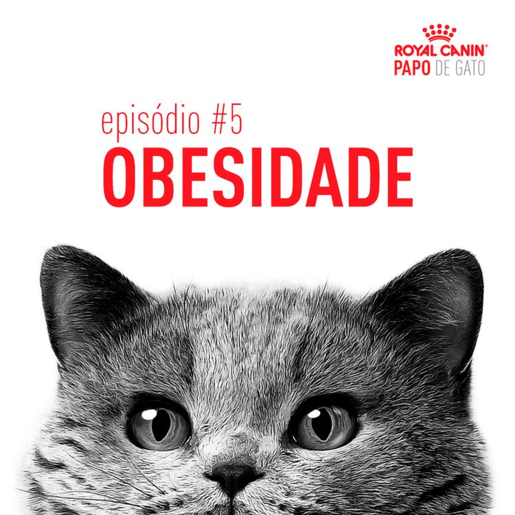 cover art for Obesidade felina