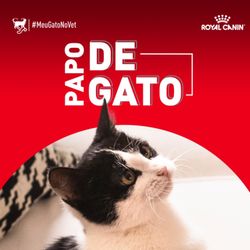 cover art for Papo de Gato