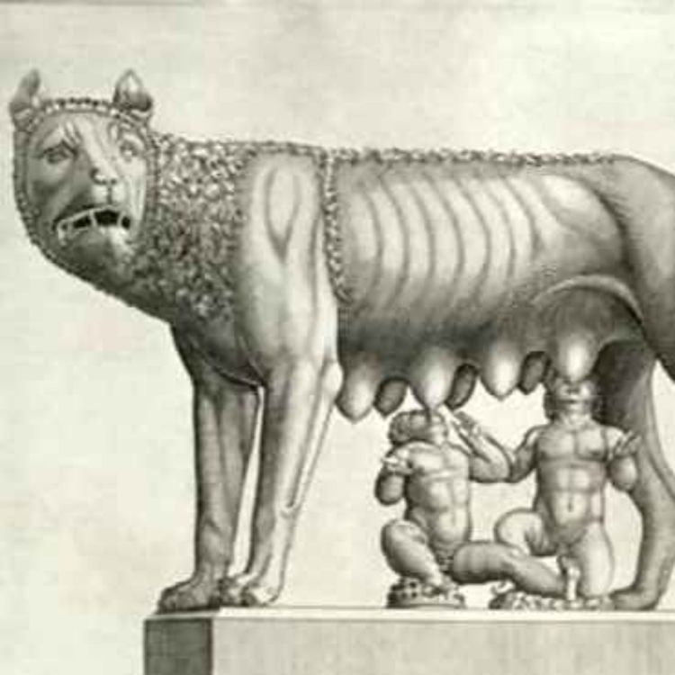 cover art for Los gemelos en la cultura