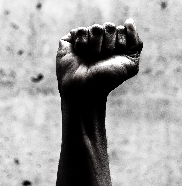 cover art for Ep:4 - 116 Susan Stokes on Protests