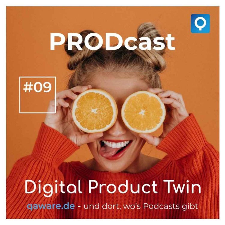 cover art for Digital Product Twin