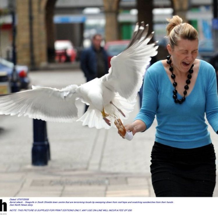 cover art for Episode 147