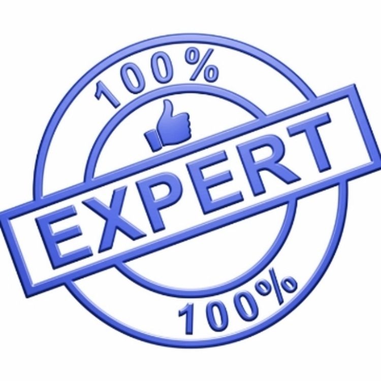 cover art for EXPERTS