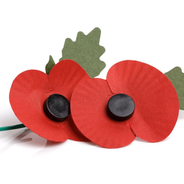 cover art for Poppy Debate 2016