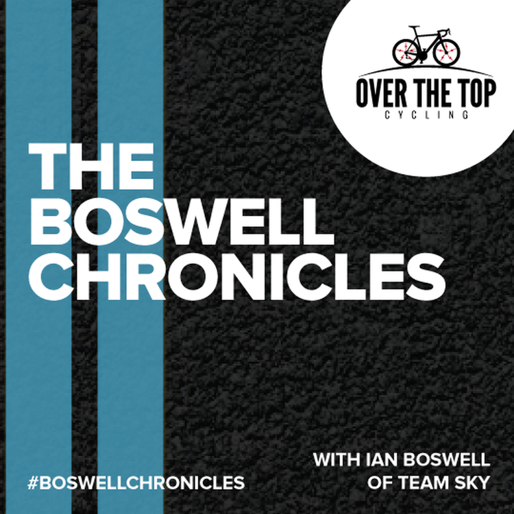 cover art for The Boswell Chronicles: A Chat with Dina Boswell
