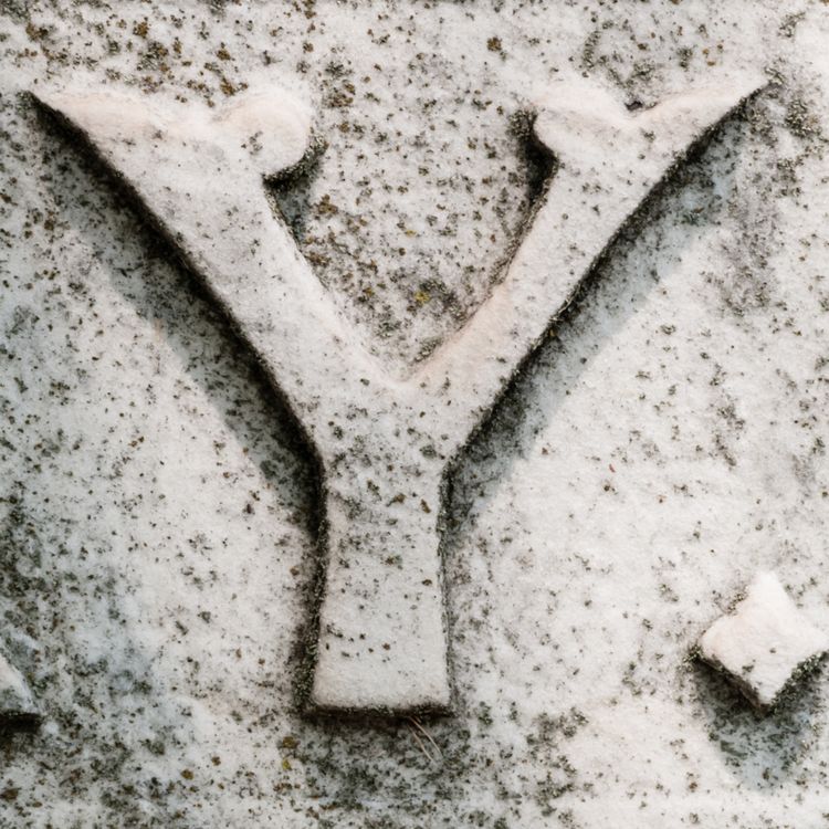 cover art for Хранилище данных Яндекс.Go (гостевой)