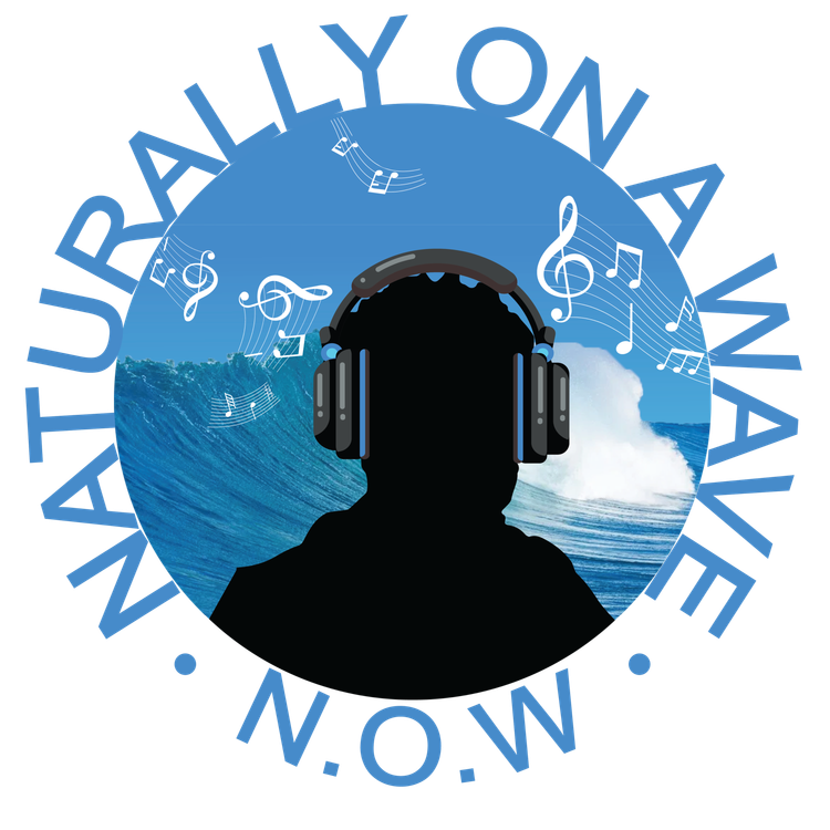 cover art for N.O.W Interview with Icez