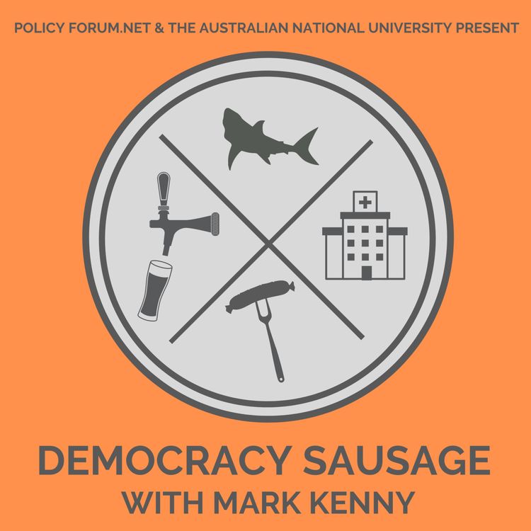 cover art for Pandemic planning and political plasticity