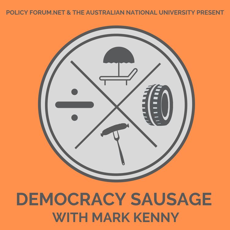 cover art for Into the rip with Damien Cave