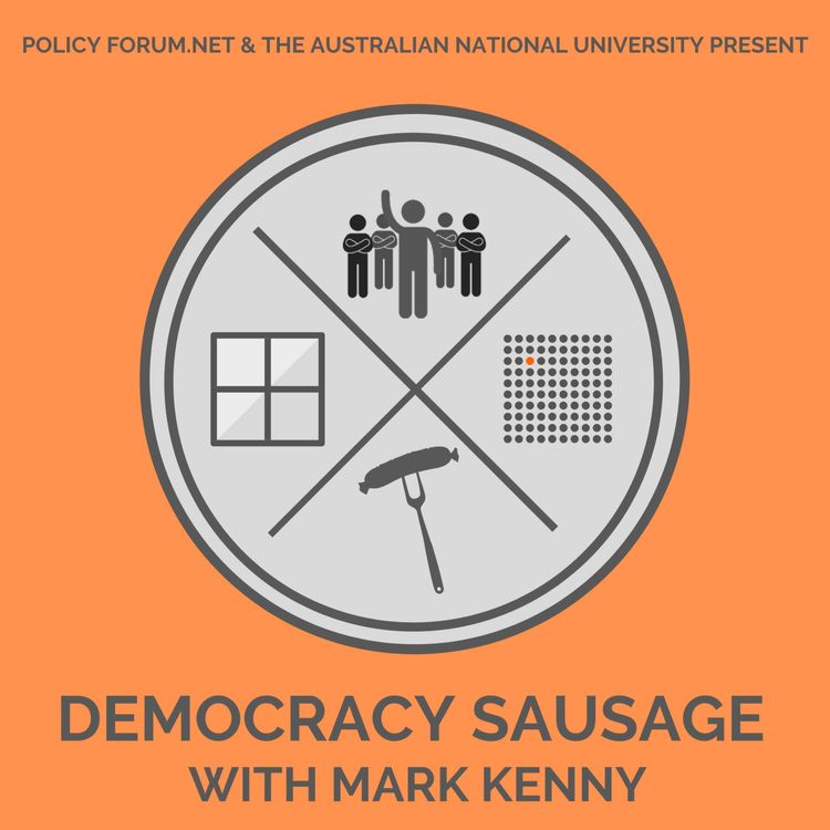 cover art for Lies, damned lies, and election campaigns