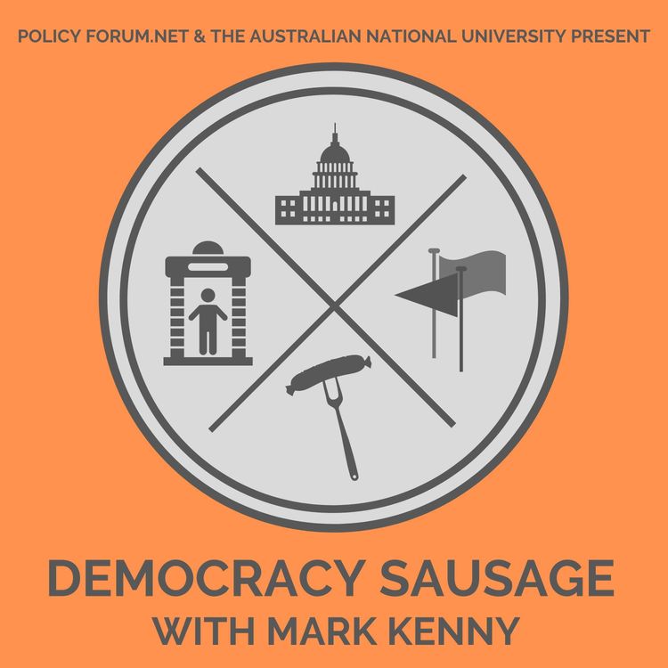 cover art for Judging America’s democratic decline