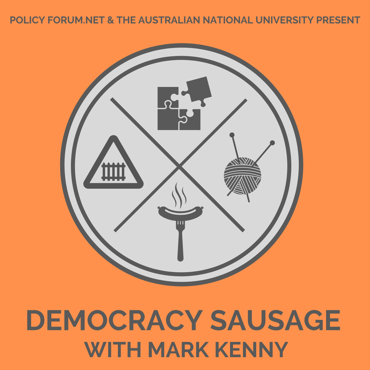 cover art for Can democracy be mended?