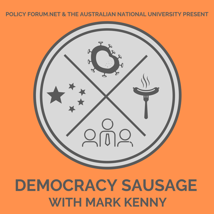 cover art for Strategic shifts, polarised policy, and mixed messages