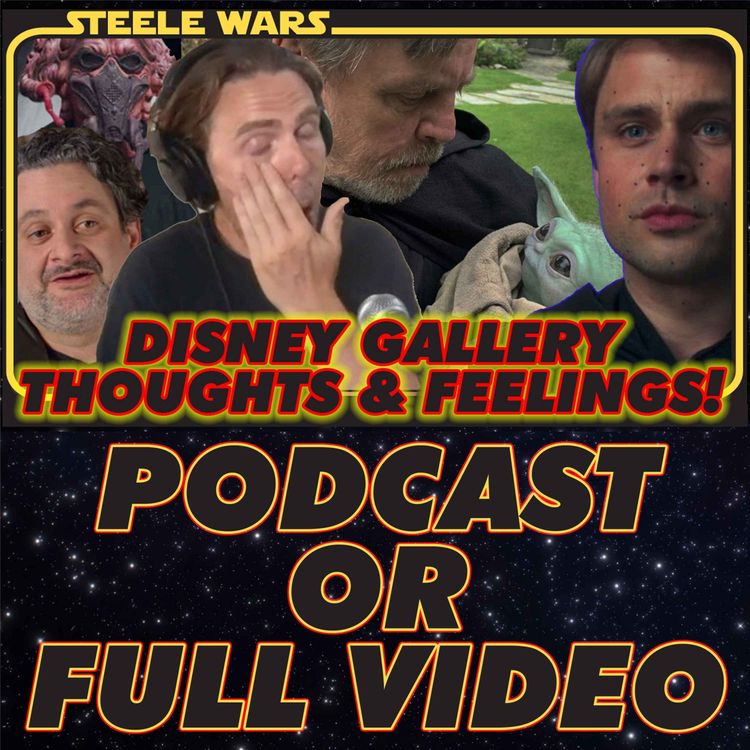 cover art for Ep 262 : Disney Gallery Making The Finale Thoughts & Feelings
