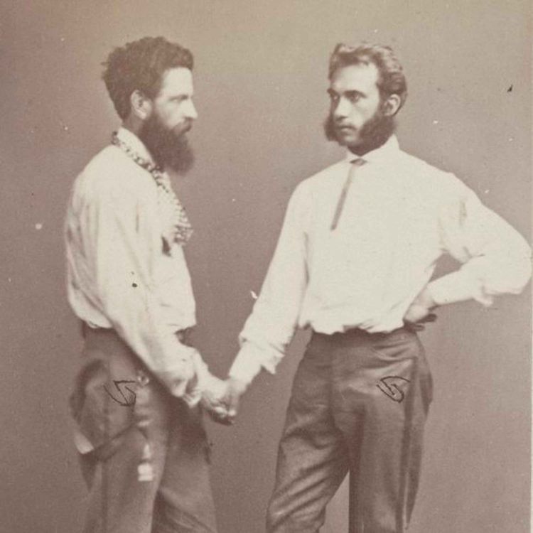 cover art for Murder in the Treasury Gardens – Part Four: The Gallows of Gay Hate