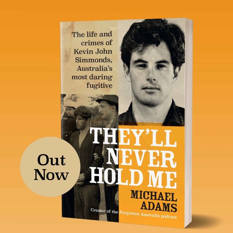 cover art for They'll Never Hold Me – Exclusive Audiobook Excerpt