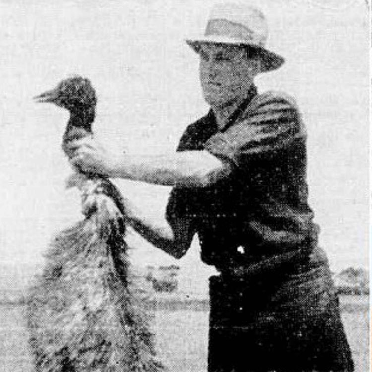 cover art for This Week in 1932: 32 Rabbit Holes – Part One