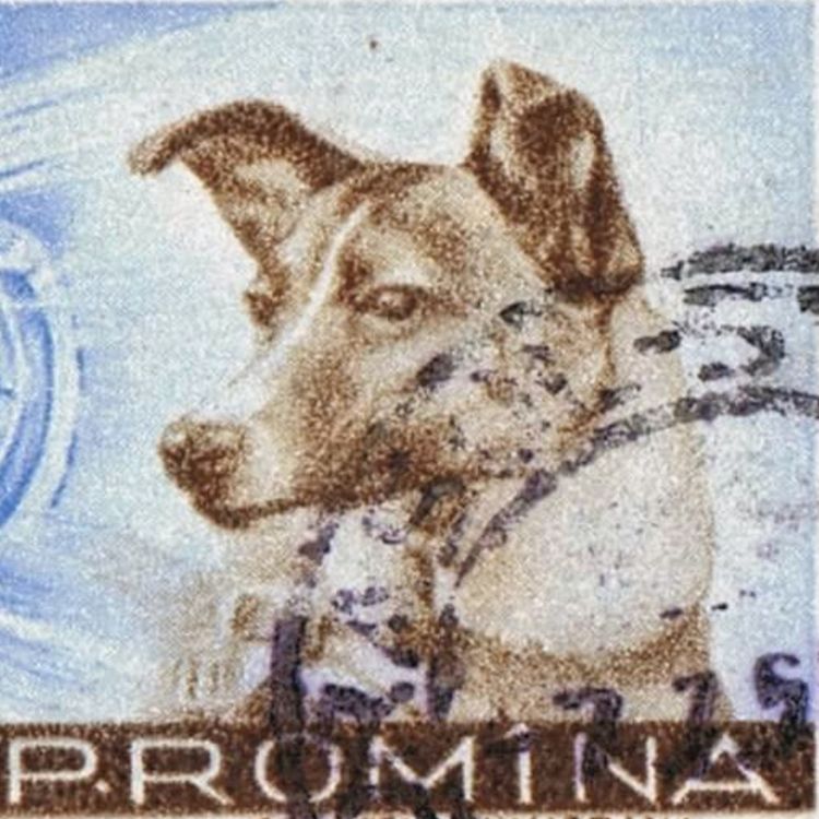 cover art for This Week in 1957: Part One – Dogs In Space