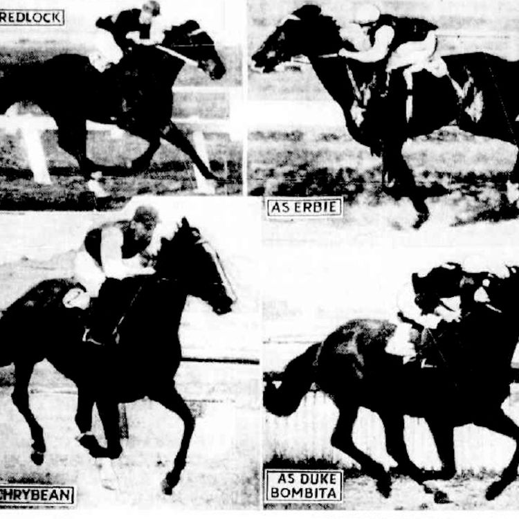 cover art for Erbie: King of the Ring-Ins