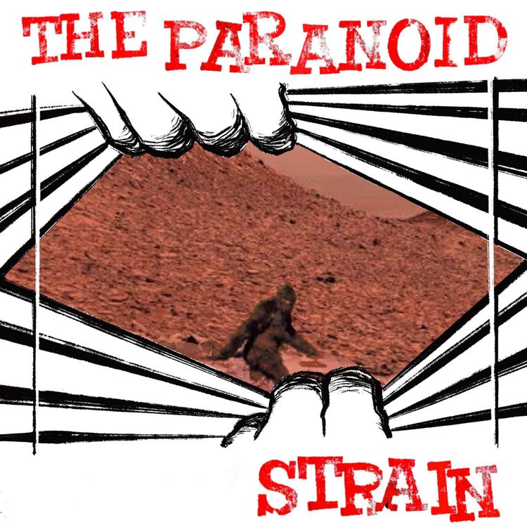 cover art for New! Unidentified--Diane Pasulka and the Bigfoot on Mars