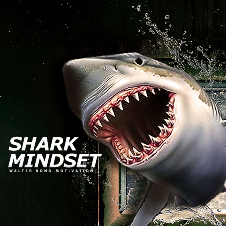 cover art for SHARK MINDSET