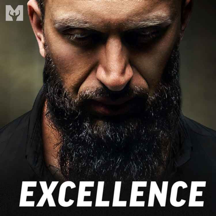 cover art for EXCELLENCE