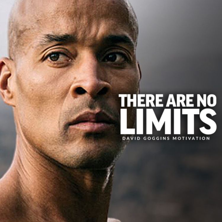 cover art for THERE ARE NO LIMITS