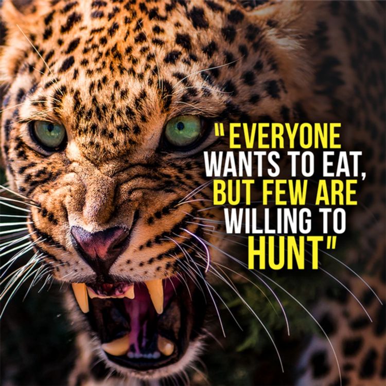 cover art for HUNT YOUR DREAMS