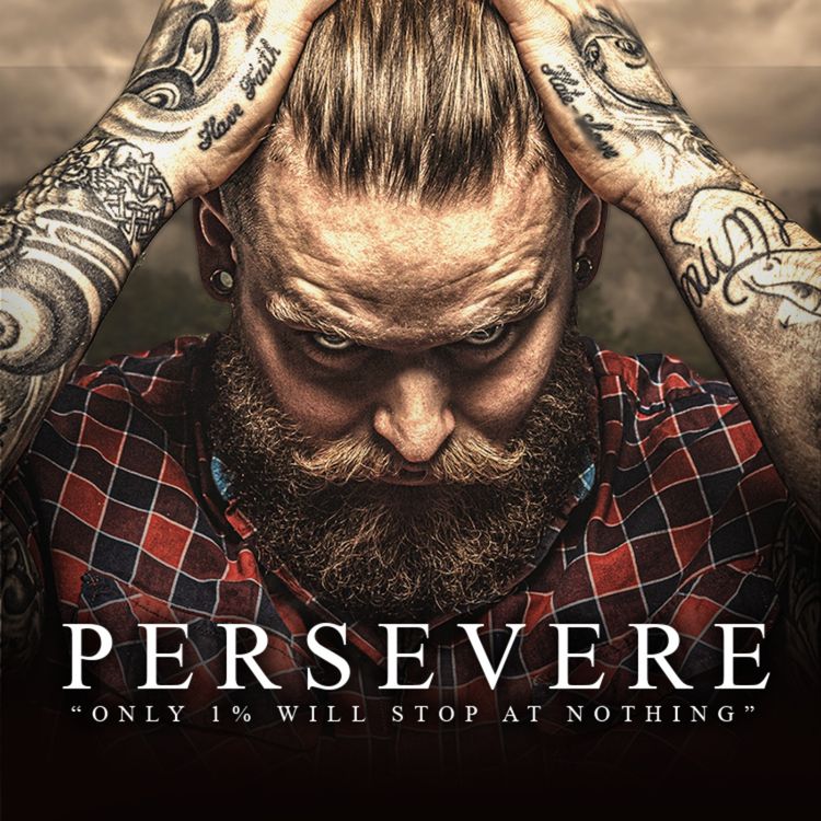 cover art for PERSEVERE