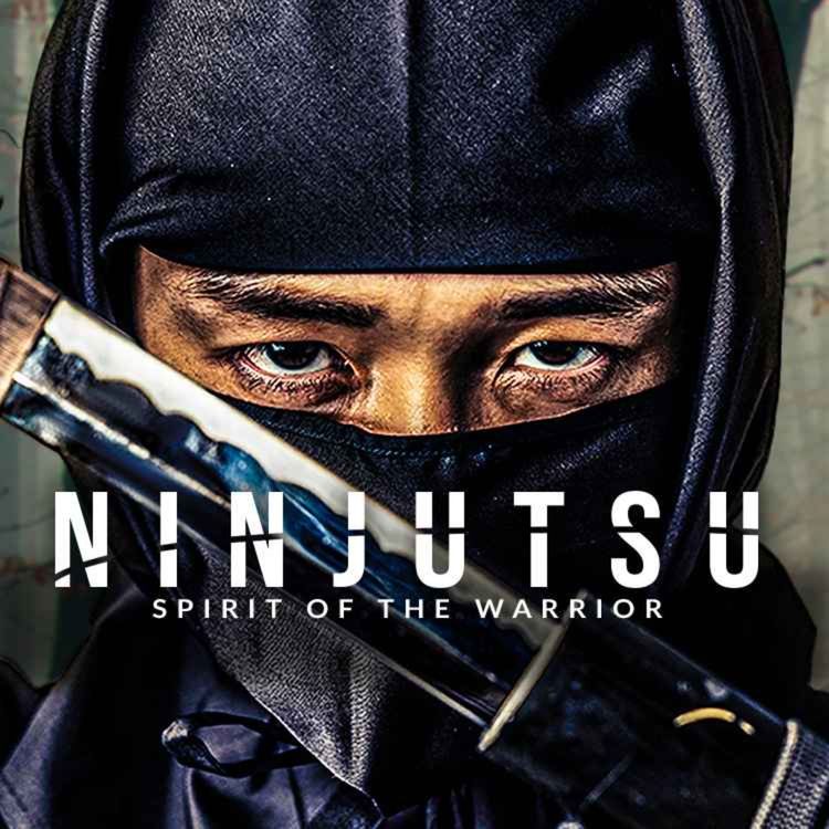 cover art for NINJUTSU: The Art of the Ninja