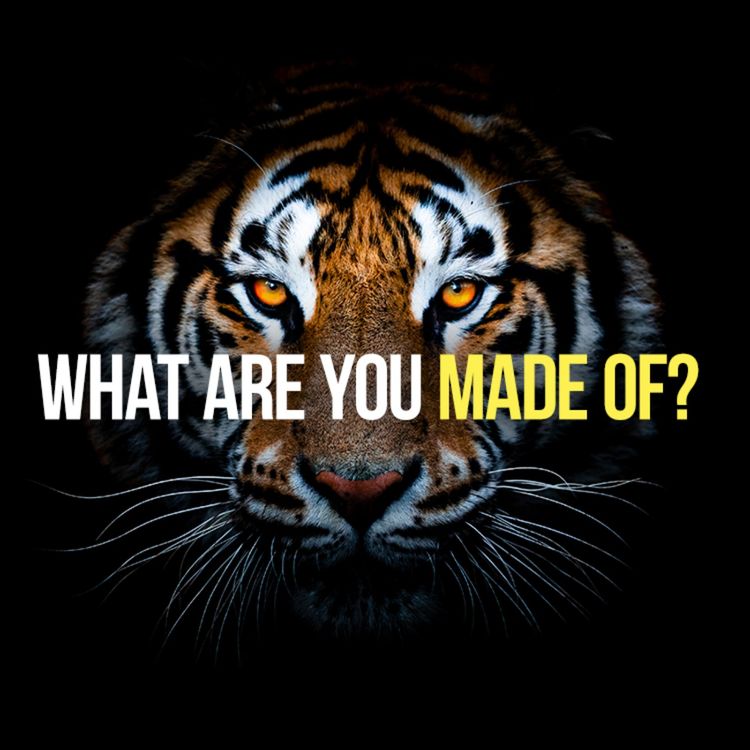 cover art for WHAT ARE YOU MADE OF?