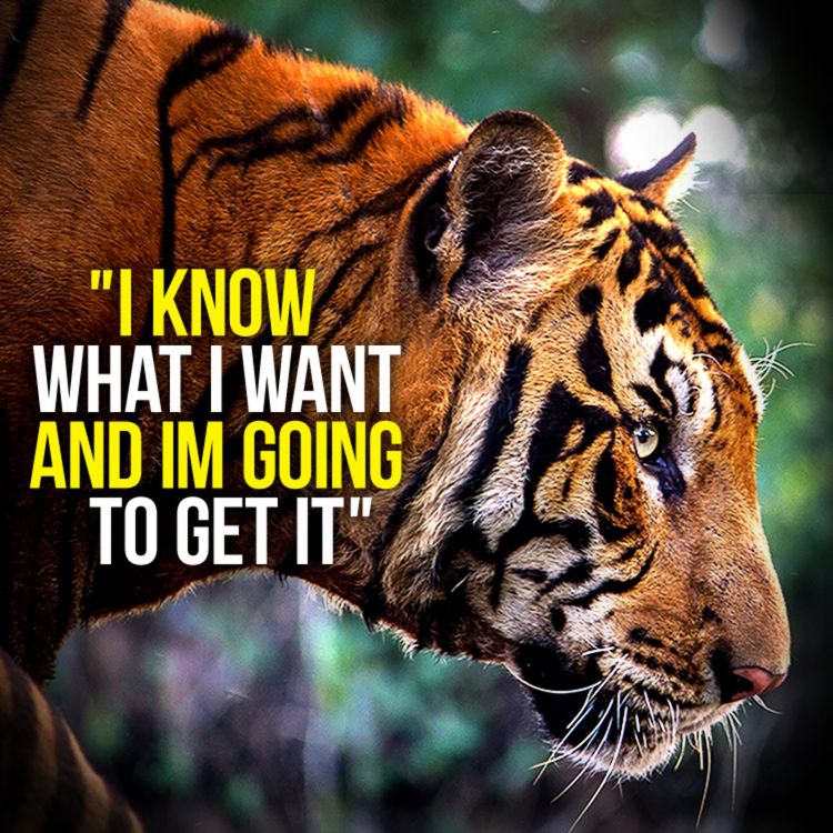 cover art for YOU CAN DO IT - New Motivational Speech Compilation