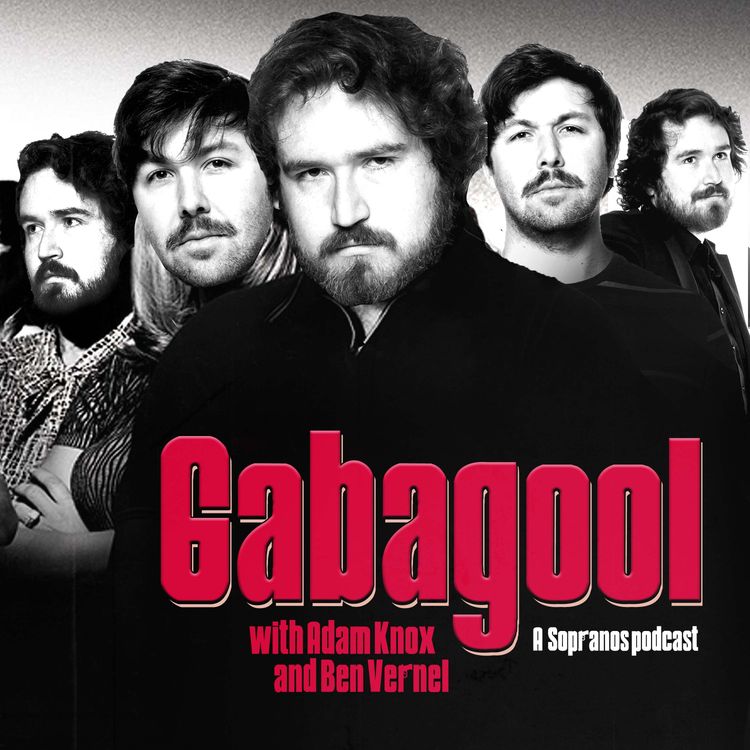 cover art for Introducing Gabagool
