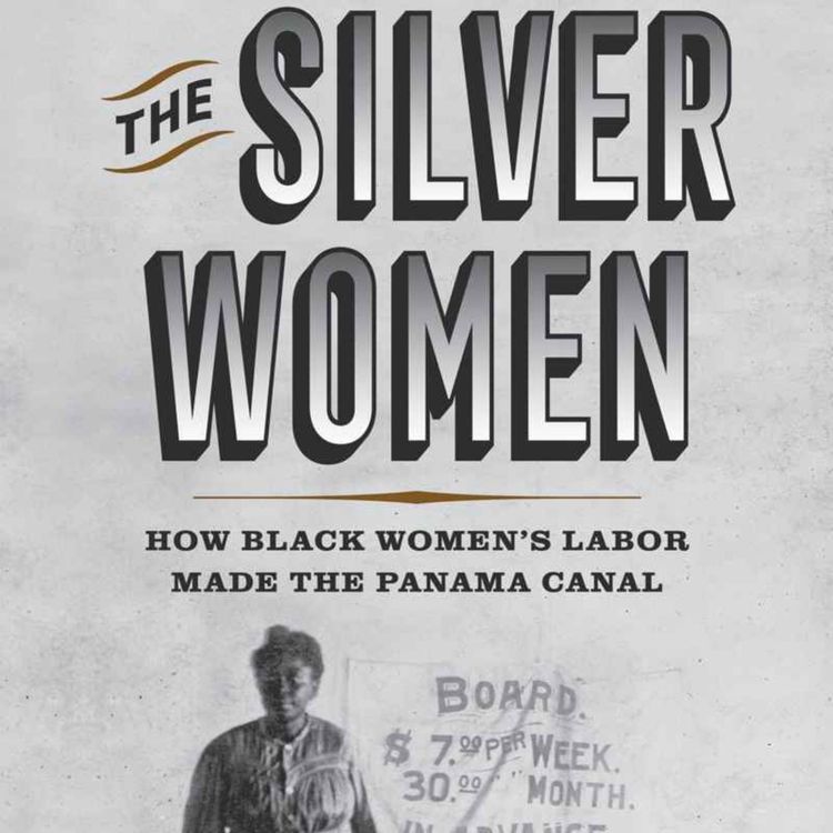cover art for The Silver Women